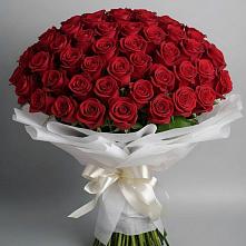 Букет 101 Красная роза Блэк Мэджик в Андревское
