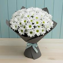Букет цветов из:  Хризантемы #REPLACE_PRED# Андревское