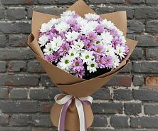 Букет цветов из:  Хризантемы #REPLACE_PRED# Андревское