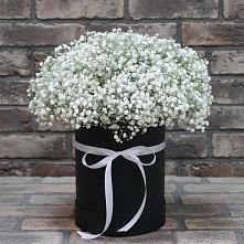 Цветочная композиция из Гипсофила в шляпной коробке в Андревское